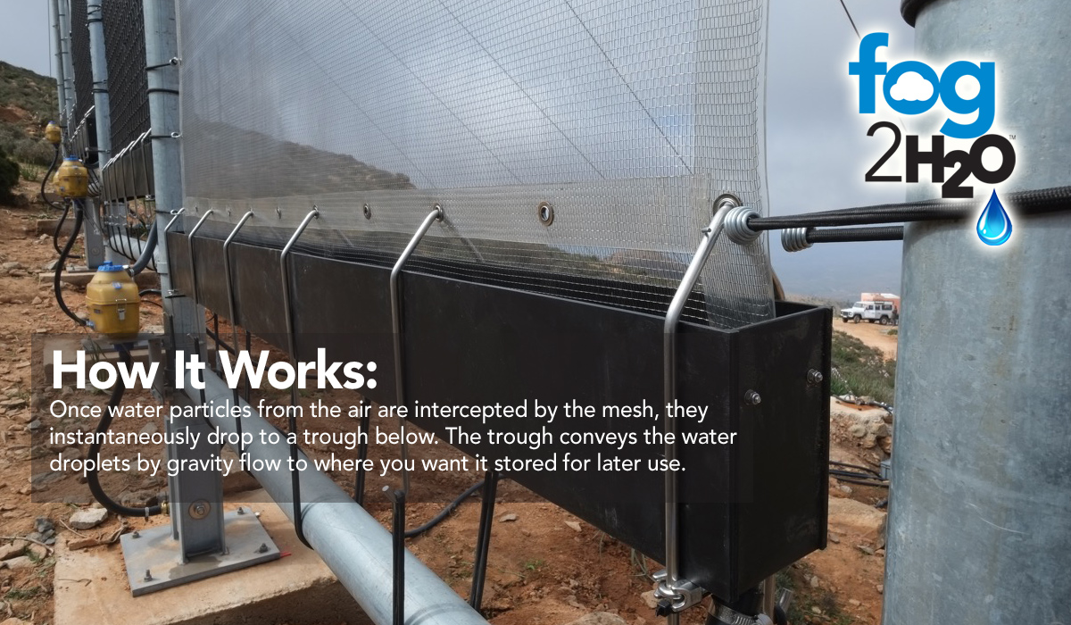 Fog harvesting system mesh panel in arid landscape